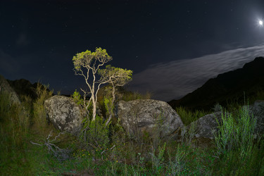 Similar image 22167102