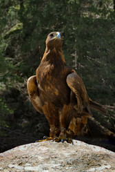 Similar image 22167110