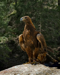 Similar image 22167111