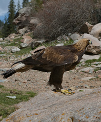 Similar image 22167113