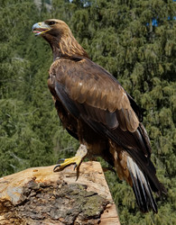 Similar image 22167114