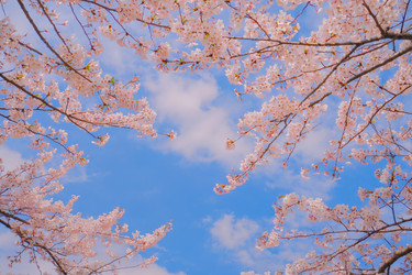 Similar image 22168145