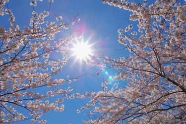 Similar image 22168147