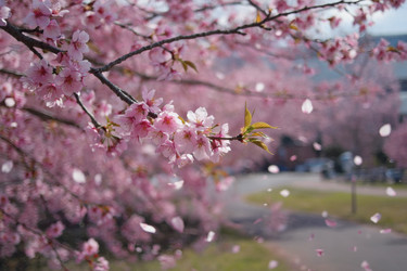 Similar image 22168153