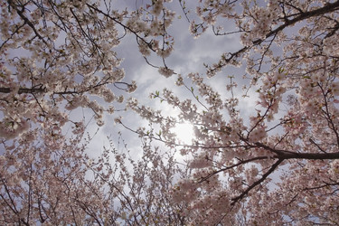 Similar image 22168157