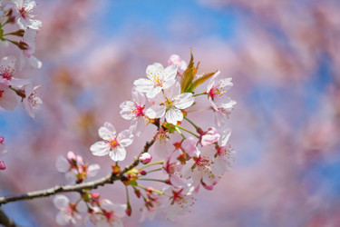 Similar image 22168159