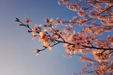 Similar image 22168163