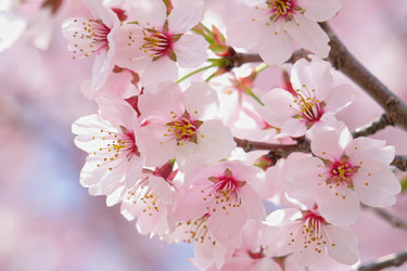 Similar image 22168167