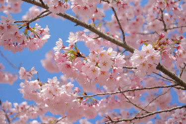 Similar image 22168169