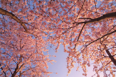 Similar image 22168170