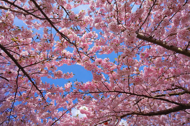 Similar image 22168171