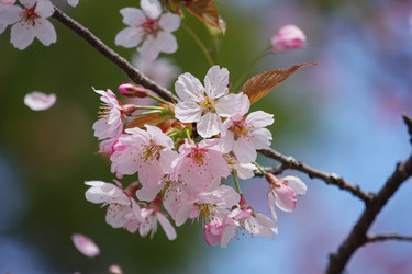 Similar image 22168172