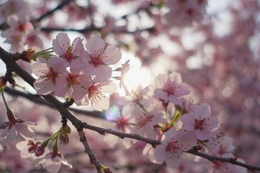 Similar image 22168173