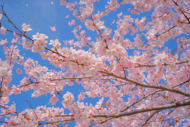 Similar image 22168174