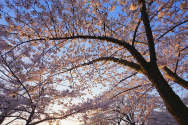 Similar image 22168175