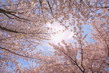 Similar image 22168176