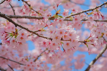 Similar image 22168177