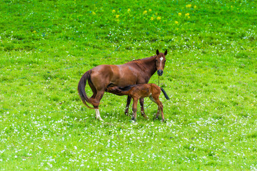 Similar image 22167770