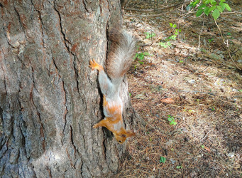 Similar image 22167060