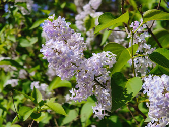 Similar image 22167061