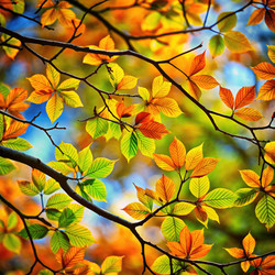 Similar image 22167795