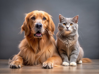 Similar image 22167802