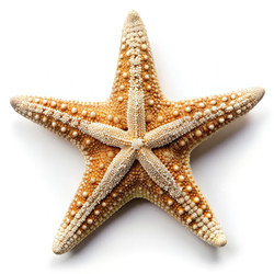 Similar image 22167807