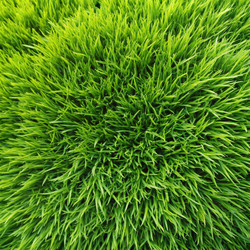 Similar image 22167810