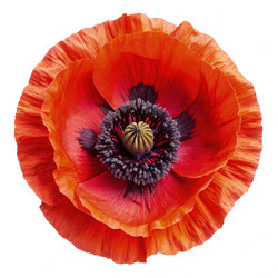 Similar image 22167814