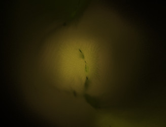 Similar image 22176696