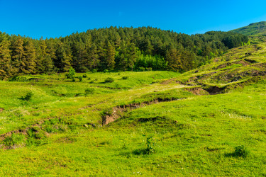 Similar image 22167600