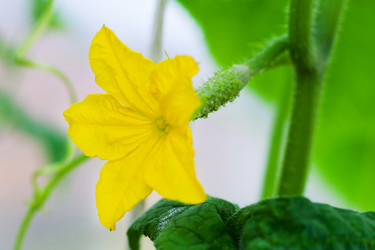 Similar image 22167136