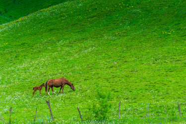 Similar image 22168003