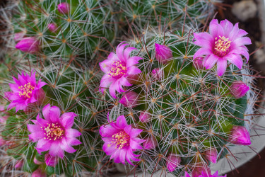 Similar image 22167138