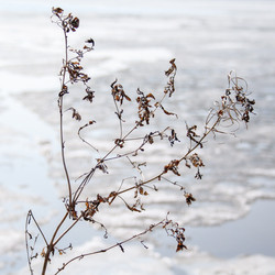 Similar image 22167196