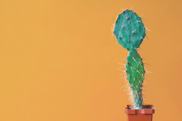 Similar image 22167209