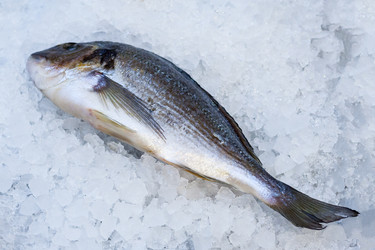 Similar image 22167233