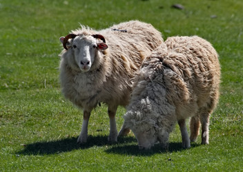 Similar image 22176861