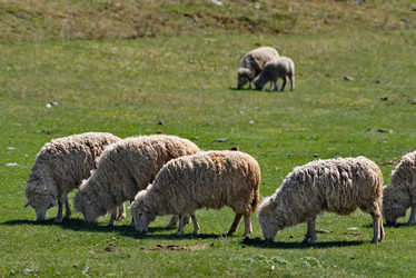 Similar image 22176862