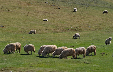 Similar image 22176863