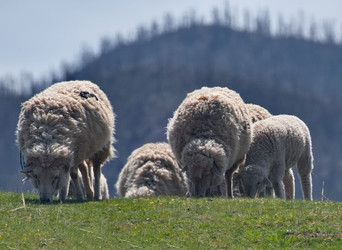 Similar image 22176865