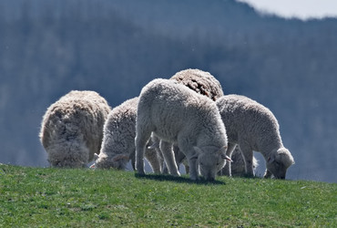 Similar image 22176866