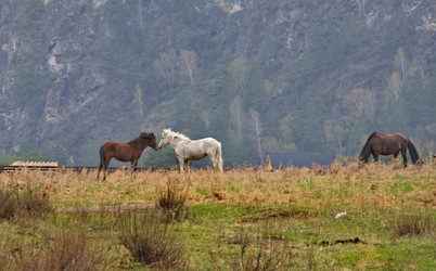 Similar image 22188745