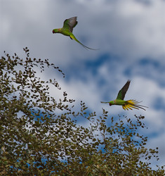 Similar image 22188749