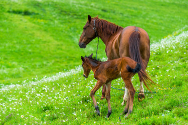 Similar image 22168482