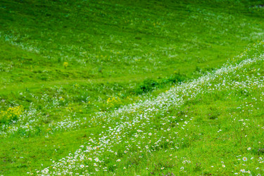 Similar image 22168484