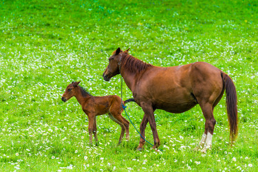 Similar image 22168914