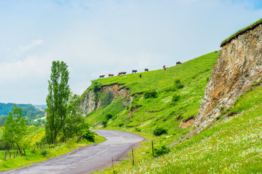 Similar image 22168916