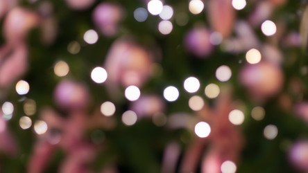 Similar image 22168513