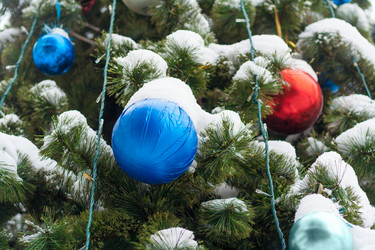 Similar image 22168518